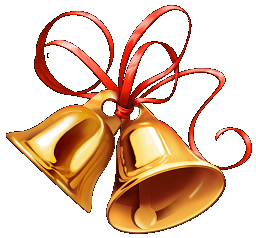 thewebsilk Website Development Compnay