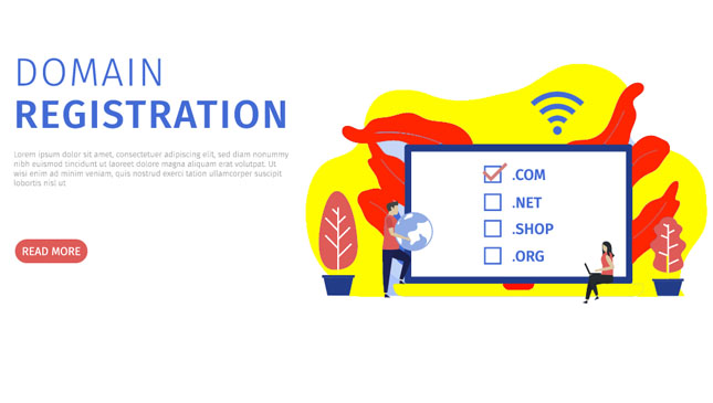 thewebsilk Website Development Company