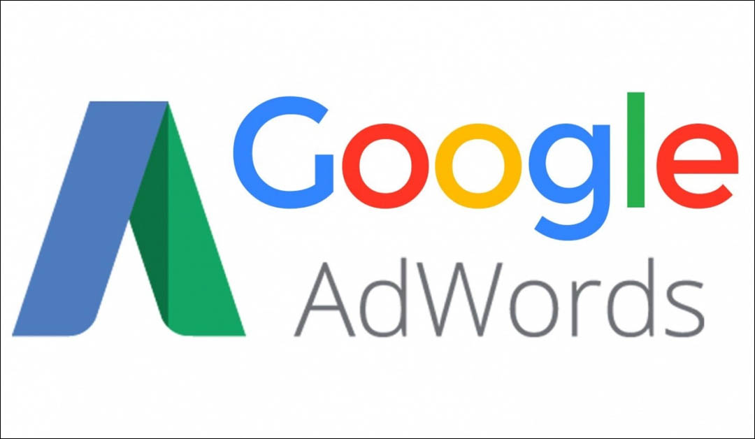 thewebsilk Website Development Company