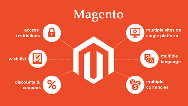 thewebsilk Website Development Company