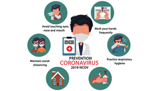 thewebsilk Website Development Company