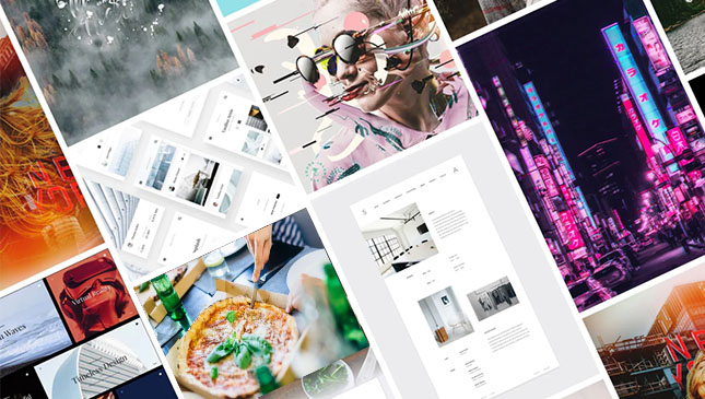 thewebsilk Website Development Company